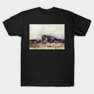 Spider monkey watercolour T-Shirt